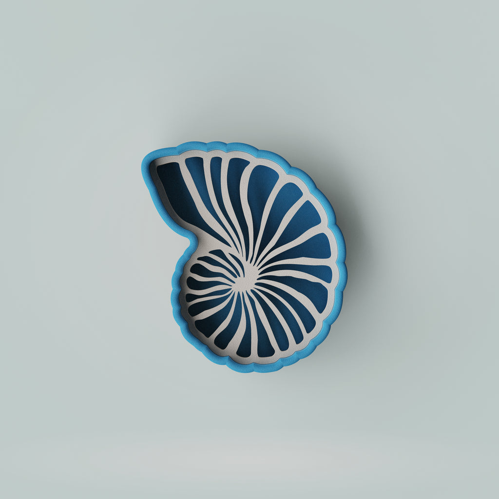 Soap Dish / Sponge Holder