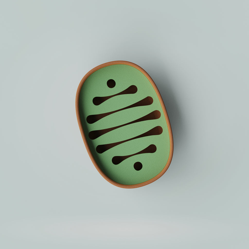 Soap Dish / Sponge Holder