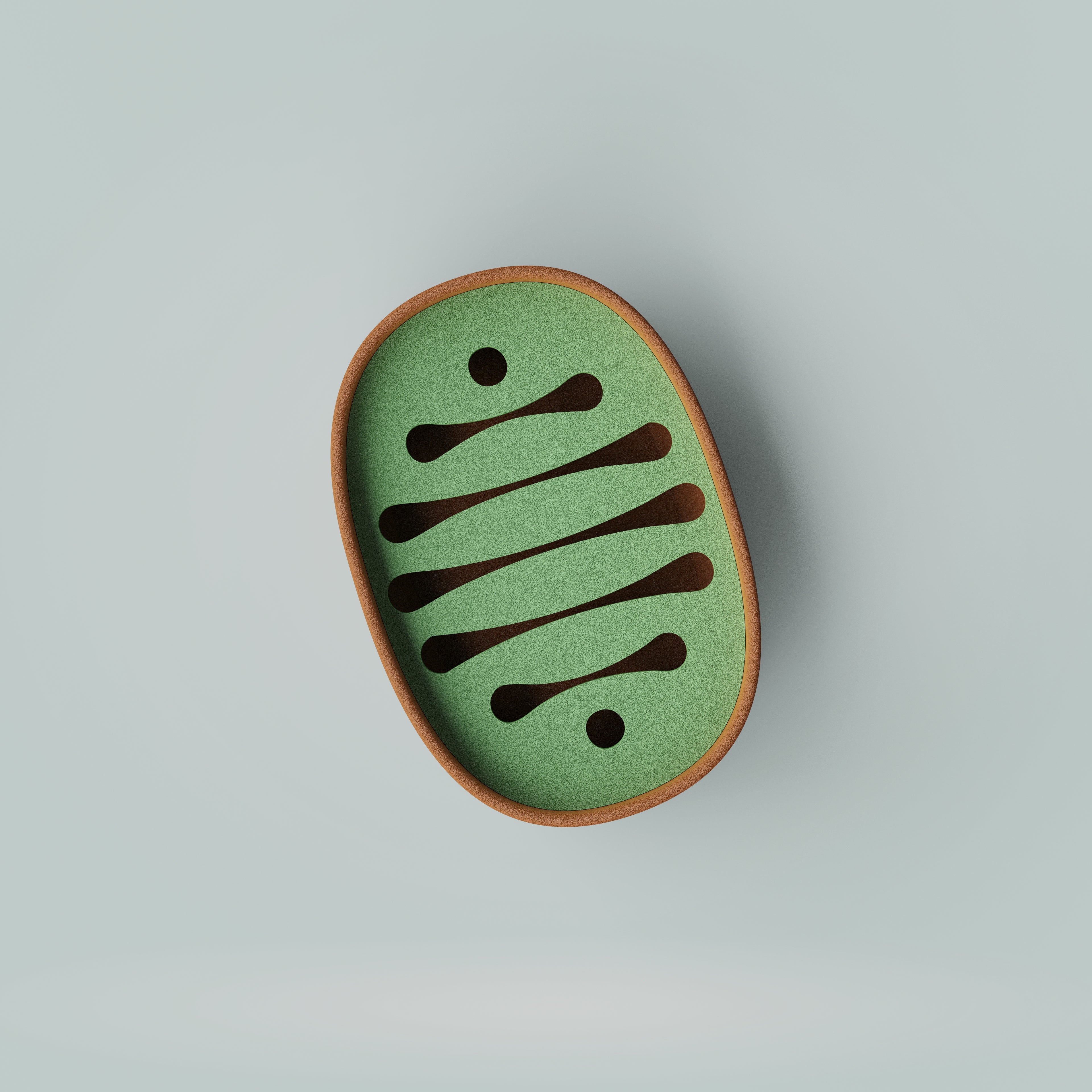 Soap Dish / Sponge Holder