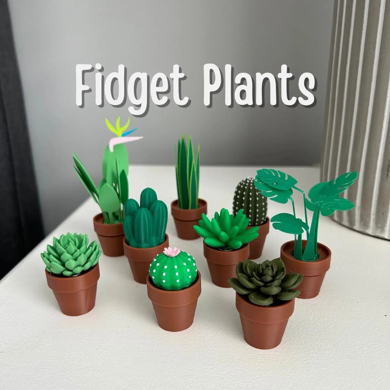 Fidget Plants